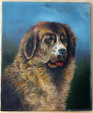Vintage Oil Painting Of A Saint Bernard,  Signed F.  O.  Buyell