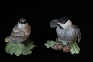 2 Boehm Porcelain Bird Figurine Sculptures Chickadee & Baby Cedar Waxwing