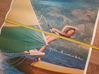 Vintage 1980 ' s Hobie Sailing Store Poster 4