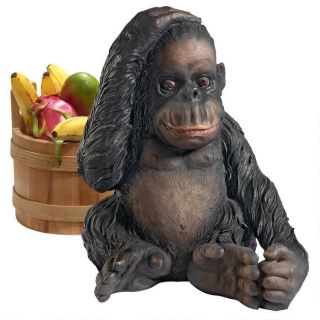 Curly The Chimpanzee Of The Jungle Funny African Monkey Design Toscano Statue