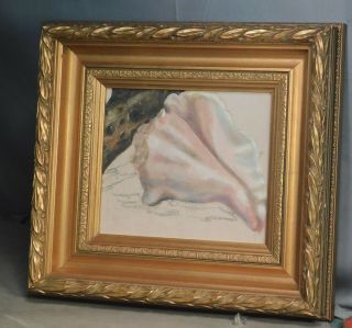 Vintage Mid - Century Modern Still Life Sea Shell Conch Ornate Gilt Picture Frame