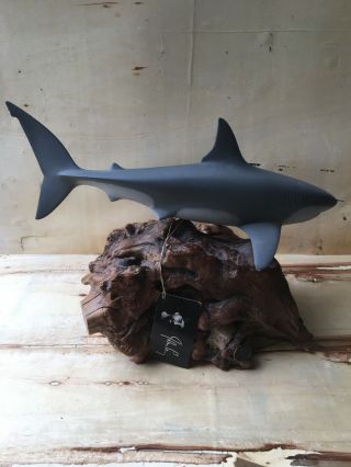 Large John Perry Burlwood Shark Sculpture Tag 14.  5 Inch Long