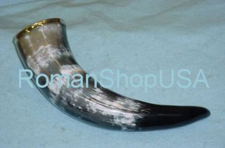 Drinking Horn Viking Drinking Horn Cup Taxidermy Cow Horn Sliver