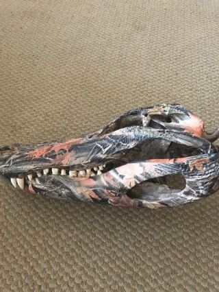 Camouflage Crocodile Skull From Florida