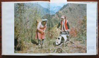Photo Album Book Panda Bamboo Bear Animal Zoo Nature China Chinese View Old 5