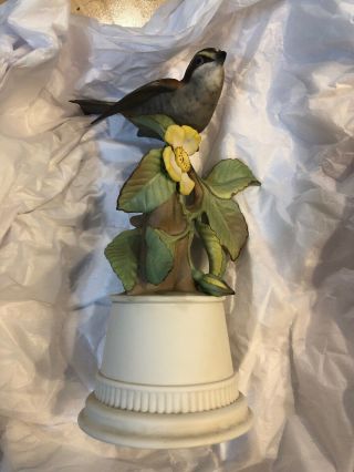 Boehm " White - Throated Sparrow " Porcelain Figurine 430