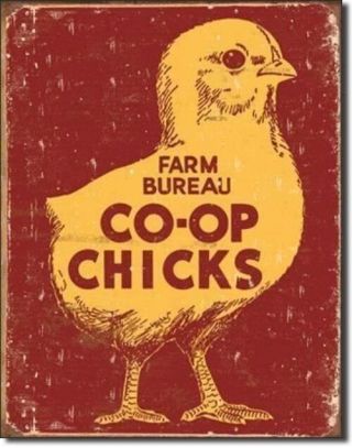 Farm Bureau Co - Op Chicks Vintage Tin Sign Metal Poster Country Home Decor