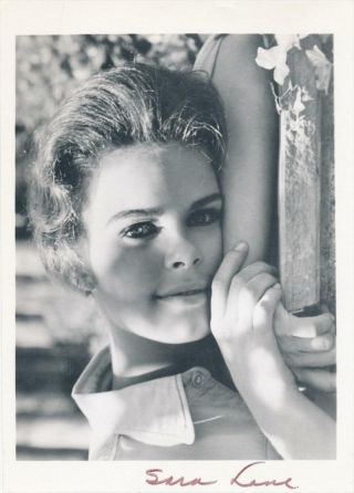 Sara Lane - Vintage Signed Matte Finish Photograph