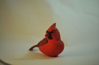 Northern Cardinal Bird Life Size Wood Carving /sculpture