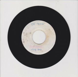 Blank/ Cry Peace - Unknown (digi Roots 7 ") Rare Unknown Test Press