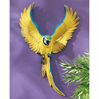 Phineas The Flapping Macaw Bird Design Toscano Tropical Wall Sculpture
