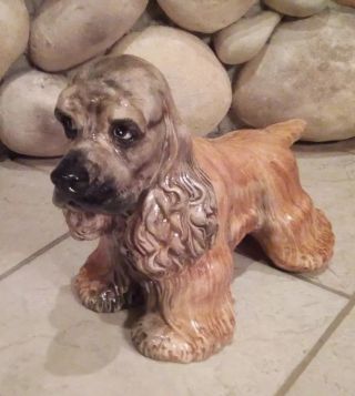 Vintage Cocker Spaniel Life Size Ceramic Dog Italy Italian Csm Statue Figure