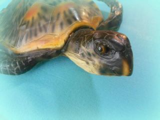 Realistic Life Size Flat Back Sea Turtle Statue By Zgallerie Resin 24 1/2 "