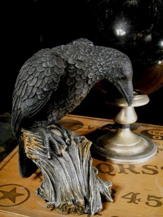 Gothic Raven On Stump Statue Hard Cast Resin Crow Halloween Poe
