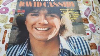 David Cassidy - Portrait Of (lp) Vinyl Record