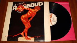 Rosebud Discoballs A Tribute To Pink Floyd Lp Rare Greek 1st Press Vinyl 1977