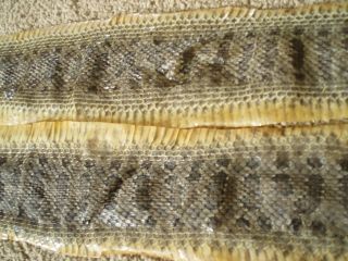 2 Rattlesnake Skins Prairie Rattler Hide Soft Tanned Bow Wrap Blanks Art D1