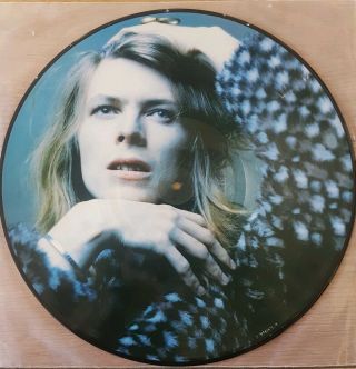 David Bowie - Hunky Dory - Rare Picture Disc Vinyl Lp Bonus Tracks Andy Warhol