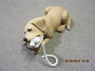 Ducks Unlimited Yellow Lab With Training Dummy And Life Of A Lab Book
