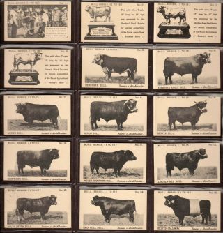 Liebig Oxo - 3 " Bull Series " Full Set Of 15 Vintage B/w Insert Cards 1937 English
