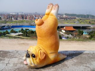 Lovely Yoga Bulldog,  English Bulldog Dog Resin Figure Figurine Us Un30