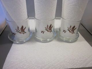 Set Of 3 Heavy Vintage Drinking Glasses With Ducks,  Geese,  Pheasant
