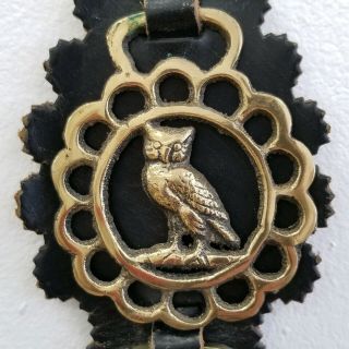 4 VTG Brass Horse Bridle Saddle Harness Ornament Medallions Owl Birds Horseshoe 5