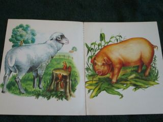 Sheep 1950 ' s Real Cloth Book Art and Matching Complete Book 4