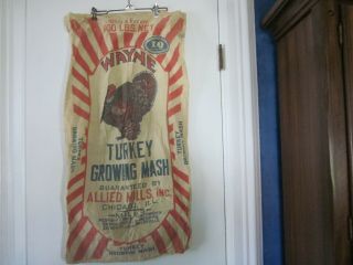 Wayne Turkey Growing Mash Feed Sack - - Allied Mills,  Inc.  - - Chicago,  Ill.