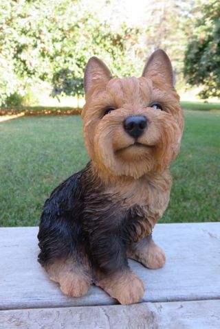Yorkshire Terrier Dog Puppy Figurine Statue Resin Pet 9.  25 " H Canine Black Brown