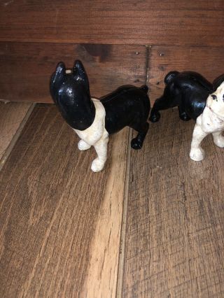 2 VINTAGE BOSTON TERRIER BULL DOG Cast Iron HEAVY PAPERWEIGHT 4 3/4” Bank 2