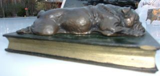 Bronze Bulldog Laying On Book