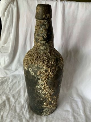 1870 - 80’s Early Blown Black Glass Shipwreck Bottle W Barnacles Olive Green