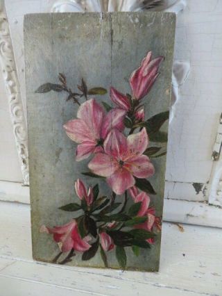 Gorgeous Small Very Old Antique Floral Oil Painting Pink Flowers On Wood