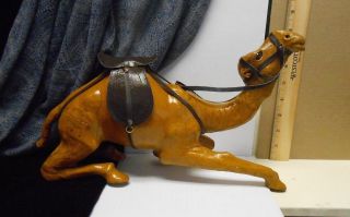 Vintage Leather Wrapped Sitting Camel With Glass Eyes 15 L” - - -