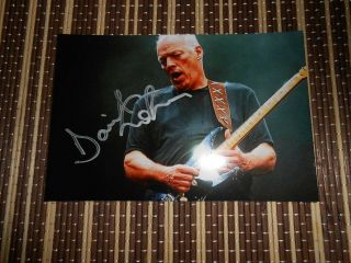 David Gilmour,  Musician,  Hand Signed Photo 6 X 4