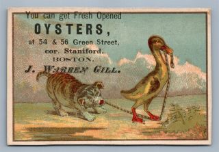Victorian Trade Card Fresh Oysters J.  Warren Gill Boston Ma Duck & Dog Antique