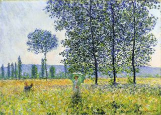 Vintage Painting Art Claude Monet Artwork Lady Field Poster Canvas Framed
