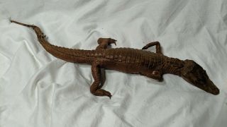 Vintage Taxidermy 25 " Young Baby Alligator/ Caiman
