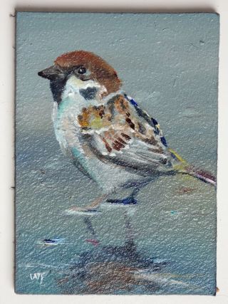 Aceo - William Jamison Miniature Oil Painting Sparrow In Puddle Bird