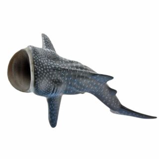 Japan Animal Ecology Science Book With Whaleshark Whale Shark Mini Figurine