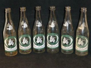 Set Of 6 Pure And Delicious 12 Oz Soda Bottles - Boone Rock Bottling - Nc - Vintage
