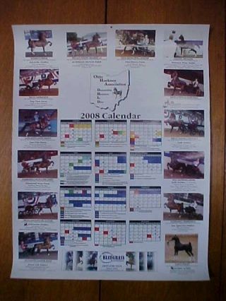 Ohio Hackney Pony Association 2008 Advertising Calender Bluegrass Horseman