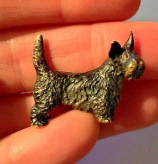 Tiny Vintage Bronze Scottish Terrier Figurine 1 1/4x 7/8 " Marked Austria