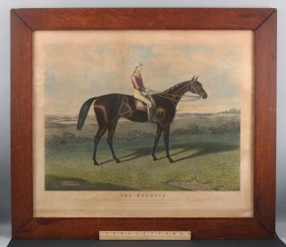 Lrg 19thc Antique 1862 C.  Hunt Aquatint Racehorse Engraving,  The Marques,  Nr