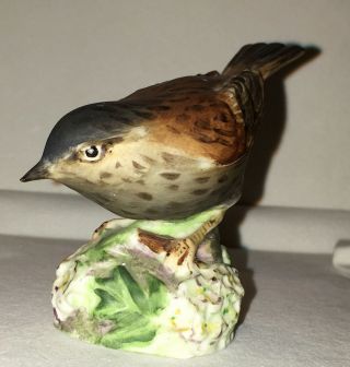 Antique Royal Worcester Hedge Sparrow Hand Painted Bone China Figurine Vtg 333