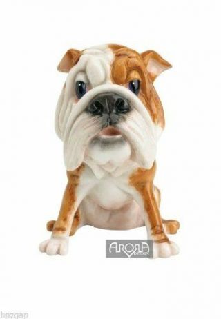 Little Paws Bruno Bulldog Pets With Personality,