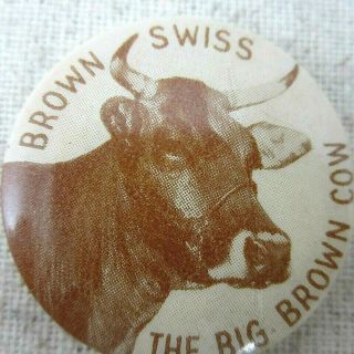 Vintage Brown Swiss Cow Dairy Pinback 1930 Advertising Breeding Button Celluloid