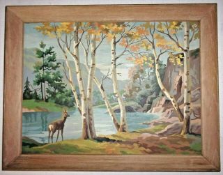 Vintage Large Framed Paint By Number - Under The Birches - 24 " X 18 "