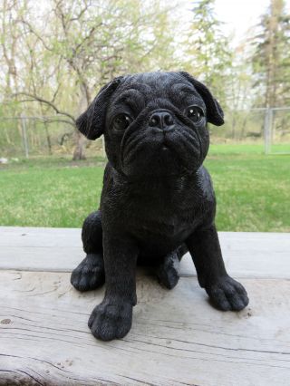 Pug Dog Puppy Figurine Statue Resin Pet 7.  5 " H Canine Black Ornament